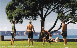 Game of Volleyball, Tourism Auckland