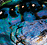 Paua - Tourism New Zealand, Photograph by Holger Leue