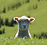Lamb peering over the hilltop - Venture Taranaki, photo by Josh Woskett