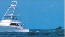 ExtravagaNZa Tours Limited