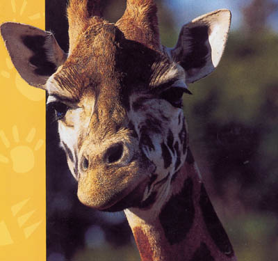 Orana Wildlife Park