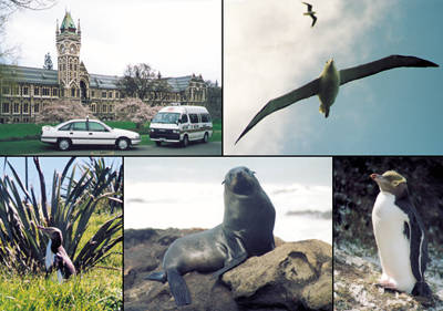 Arthurs Tours