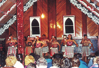 Rotoiti Tours