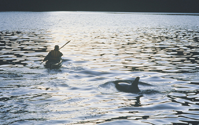 Milford Sound Sea Kayaks