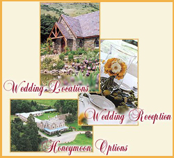 New Zealand Dream Weddings