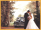 New Zealand Dream Weddings