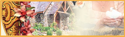 New Zealand Dream Weddings