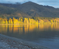 Alpine Motel Wanaka