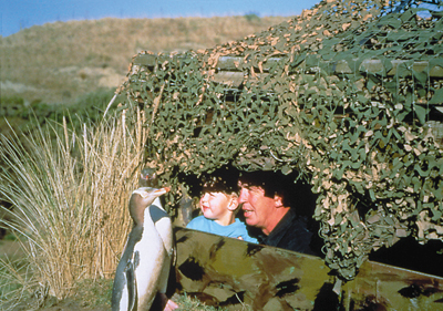 Penguin Place Conservation Reserve