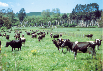Agri-Travel International