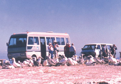 Gannet Safaris Overland Ltd
