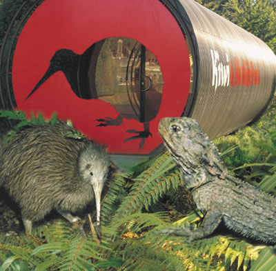 Kiwi & Birdlife Park