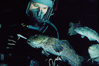 Southern Encounter Aquarium