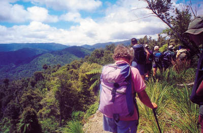Paparangi Ventures