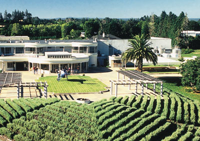 Mills Reef Winery Limited
