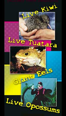 Jacquie Grant's Eco World