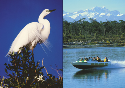 White Heron Sanctuary
