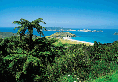 Adventure Pacific