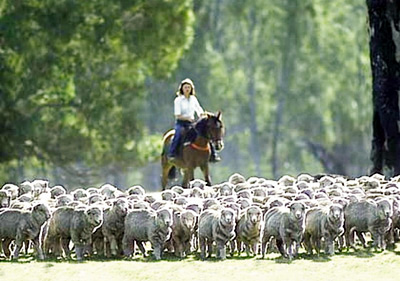 New Zealand Farm Holidays Ltd