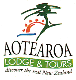 Aotearoa Lodge & Tours ~ Sightseeing Activities in The Coromandel
