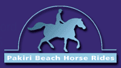 Pakiri Beach Horse Rides ~ Horse Trek Activities in Auckland
