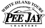 White Island Tours ~ Eco Tours Tours in Whakatane