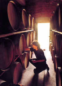 Gisborne Vineyards