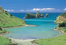 Gisborne Beach Cove
