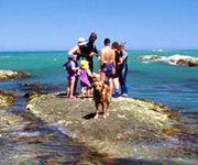 Beach Accommodation Gisborne New Zealand