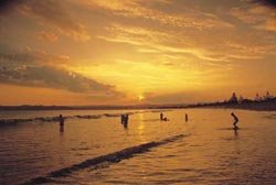 Gisborne Beach sunset