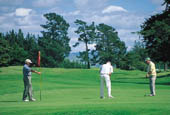 Gisborne Activities