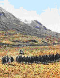 Pelenor Fields - Lord of the Rings