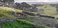 The Shire - Lord of the Rings
