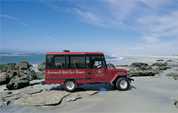 Farewell Spit Eco Tours