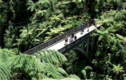 Bridge To Nowhere