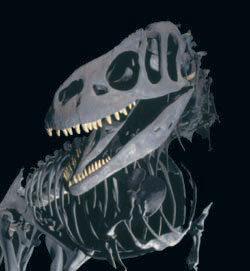 Canterbury Museum