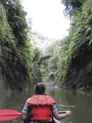 Taumarunui Canoe Hire