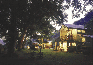 The Flying Fox