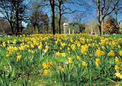 Christchurch Sightseeing Tours