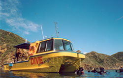 Dive Marlborough