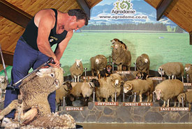 Agrodome