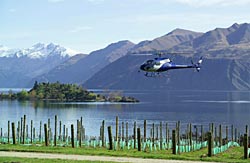 Alpine Helicopters
