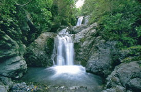 Kaikoura Wilderness Walks