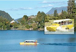 Rotorua Duck Tours