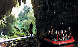 Spellbound Gloworm and cave tour
