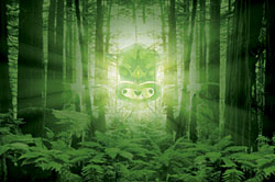 Realm of Tane