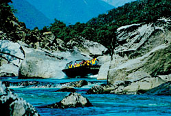 Waiatoto River Safari