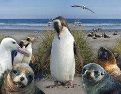 Elm Wildlife Tours