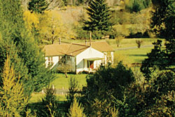 Golden Downs Lodge & Nelson Wilderness Guiding
