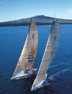 Explore NZ — Sail NZ & Auckland's Dolphin & Whale Safari